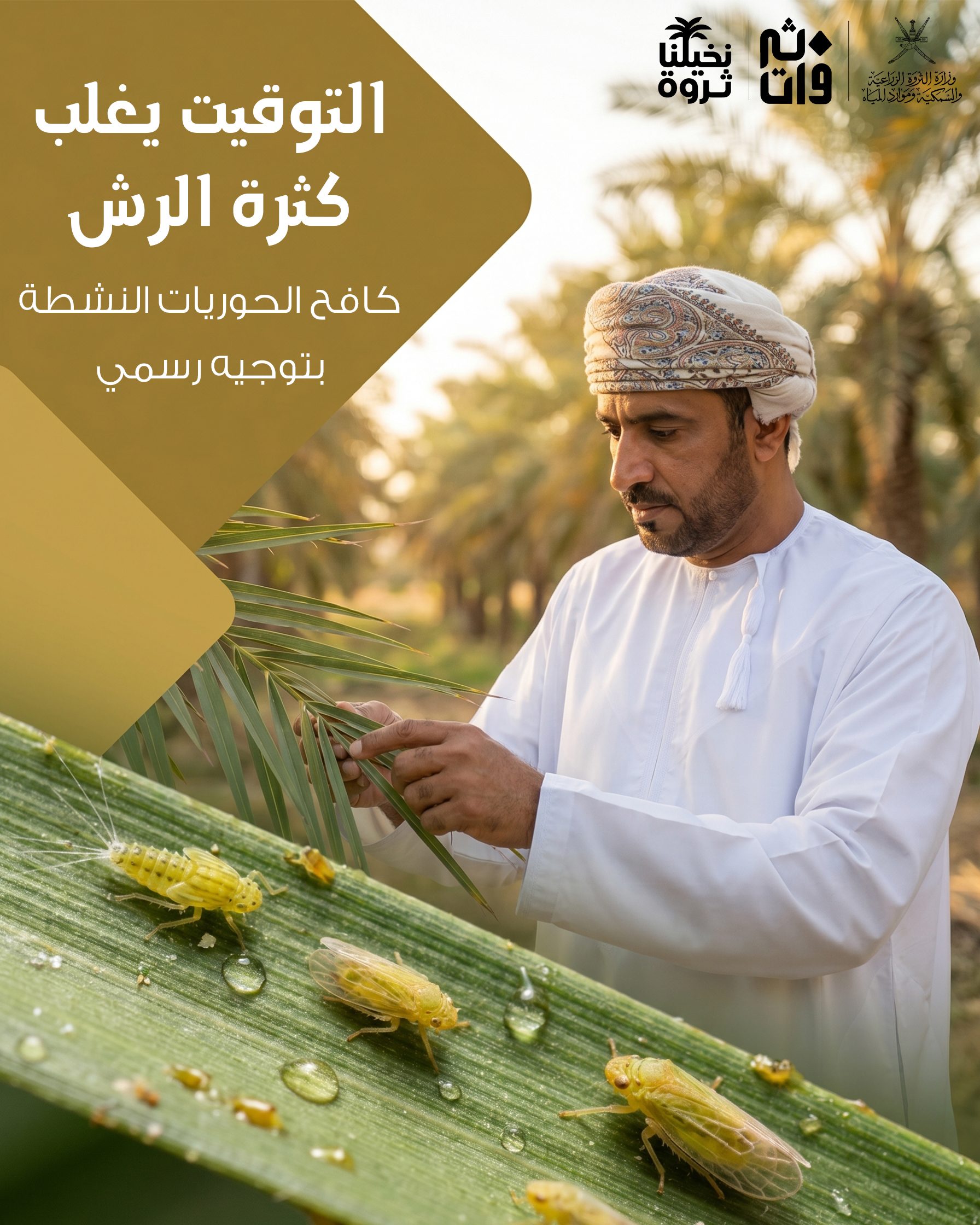Date Production & Protection Campaign